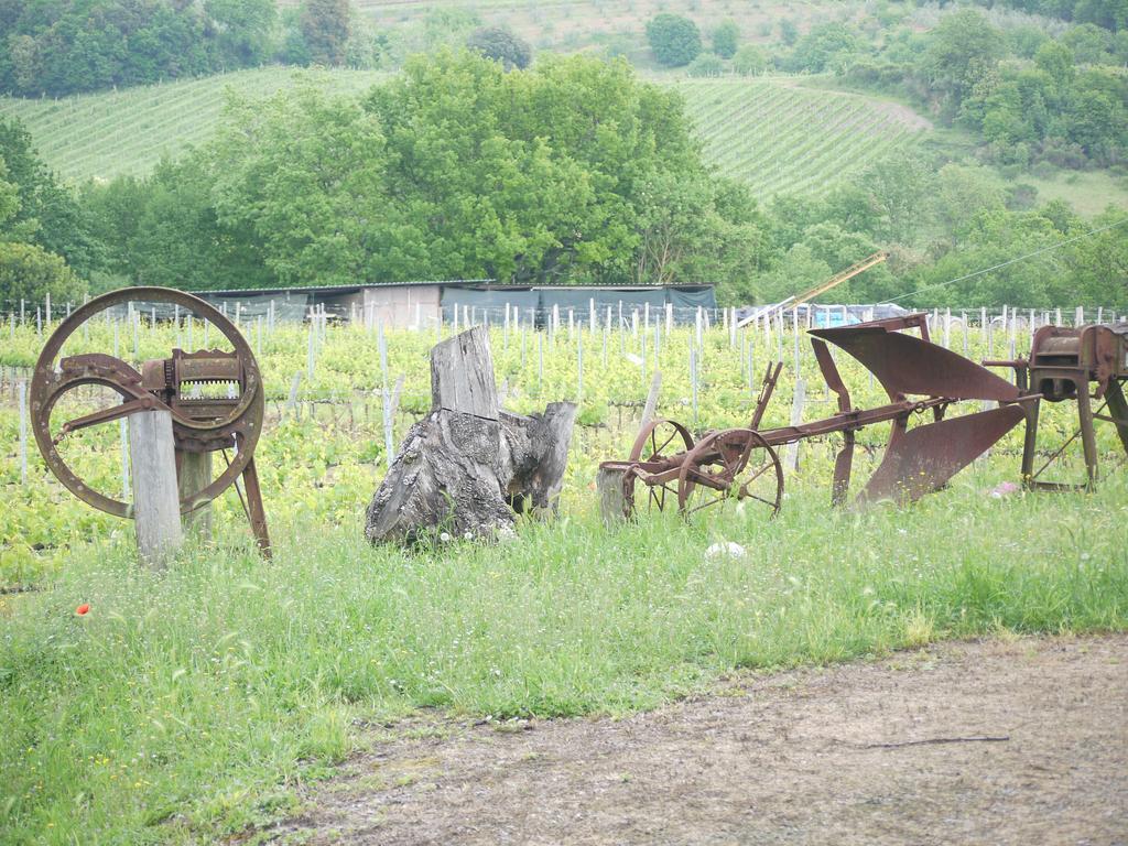 Azienda Agricola Polveraia San Gimignano Exterior photo