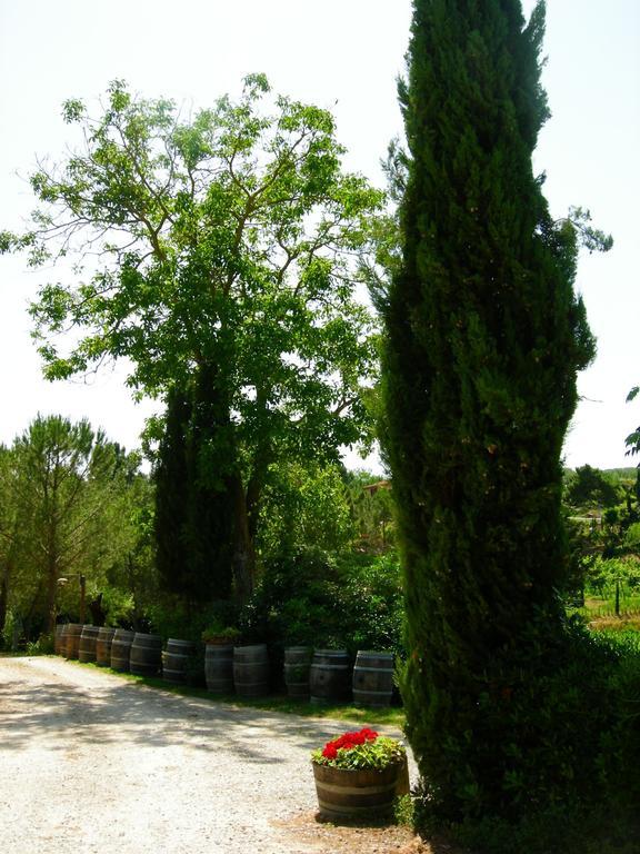 Azienda Agricola Polveraia San Gimignano Exterior photo