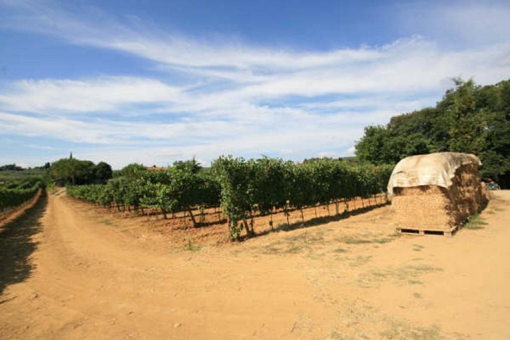 Azienda Agricola Polveraia San Gimignano Exterior photo